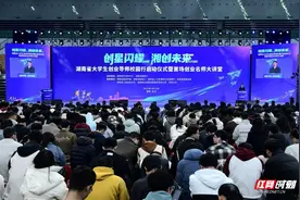 观潮的螃蟹丨湖南要有“六小龙”，关键靠他们图片