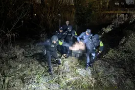 立功了！杭州这只中华田园犬识破行窃男子，警方上门发奖，网友：加鸡腿！图片