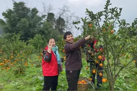 新春走基层丨越来越多的年轻人想留下来——重庆綦江区红岩村新事图片