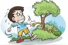 【急救科普】野外突发蛇咬伤？不要惊慌，教你冷静处理图片