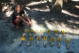 抓获7人！缴获气枪5支！海南这个非法狩猎团伙遭“团灭”图片