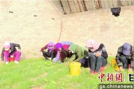 肃北：不误农时不负春 春耕备耕正当时图片