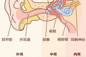 灞桥区邵平店幼儿园开展爱耳护耳知识宣传活动图片
