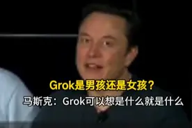Grok是男孩还是女孩？马斯克：Grok可以想是什么就是什么 | 一手图片