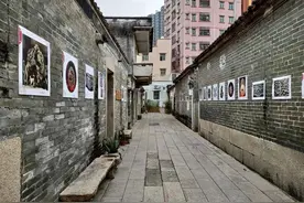 龙年来深圳凤凰古村看“龙图腾”吧！图片