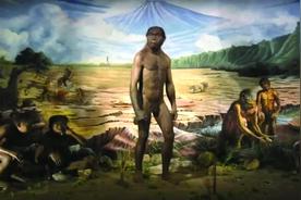 Science在线发表中国最新研究：人类祖先险些灭绝，“一度仅剩一千多人”图片