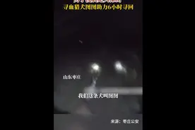 男子凌晨走失深山 寻血犬图图助力6小时寻回图片