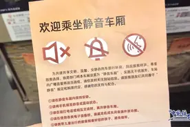 静宝聊天室丨原来高铁还有“静音车厢”，网友：一坐一个不吱声图片