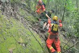 男子夜爬缙云山迷路 被困悬崖半坡处图片