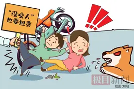 狗追车致人受伤， “没咬人”也要担责图片