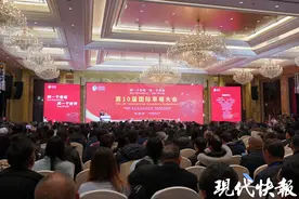 全球大咖聚焦“莓好经济”，国际草莓大会盐城开幕图片