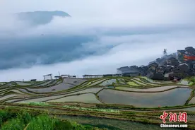 贵州从江梯田宛如水墨画卷图片