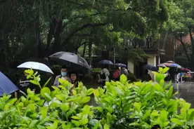 4月的雨不会下到5月！五一假期前半段都是好天气图片
