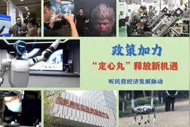 听民营经济发展脉动｜政策加力 “定心丸”释放新机遇图片