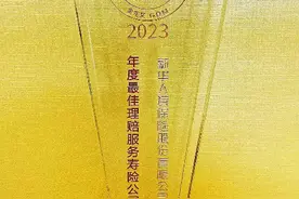 新华保险客户服务斩获多项大奖图片