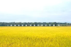 南雄市探索“EPC+O”模式建设高标准农田｜“百千万工程”集成式……图片