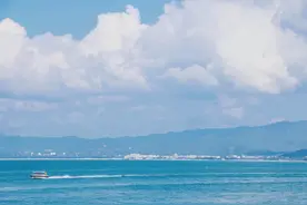奉贤观海攻略！附落潮时间表→图片