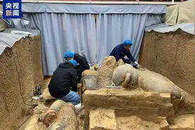 秦兵马俑考古最新发现！图片