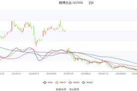 顺博合金：2024年上半年净利润8388.82万元 同比增长7.29%图片