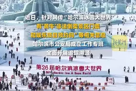哈尔滨警方打击冰雪大世界“黄牛”，破案21起，抓获23人图片