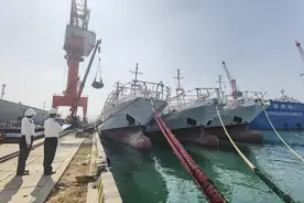 远洋渔船载鱼归“船边直提”快通关图片