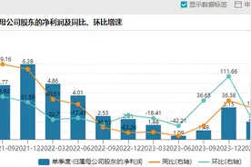 股价大跌！氯碱化工拟发行40亿元可转债：去两年净利同比连续大幅下滑图片