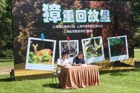 8位“原住民”落户滨江森林公园！新区林业站野放新一批獐图片