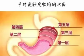 吃撑一次，身体会发生哪些变化？图片