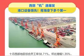 央视财经挖掘机指数丨西部“机”遇爆发，港口设备领先！青海拿下多个第一图片