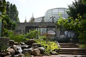 高质量发展调研行|藏在城市里的“植物乐园”图片