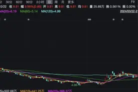 5连板四川长虹：生产经营一切正常，短期涨幅较大建议理性投资图片