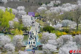 不负“拾”光  筑梦远航——青岛西海岸新区全力绘就乡村振兴新画卷图片