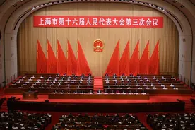 大江东丨上海两会手记：从10万元到10亿元，城市与企业的相互赋能图片
