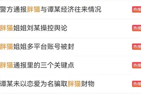 看丹观察丨“胖猫”事件真相大白！2500多字的警情通报给我们带来了哪些启示？图片