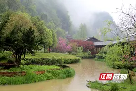 张家界黄龙洞景区：清明出游，邂逅最美春光（组图）图片