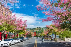 攀枝花推出冬季旅游“宠客”政策：国有4A景区门票“一元购”，周末高速路收费打折图片