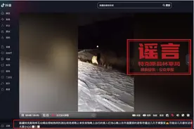 新疆特克斯县琼库什台村有老虎？官方回应：谣言图片
