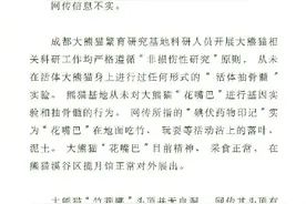 假的！大熊猫花嘴巴被抽骨髓纯属谣言图片
