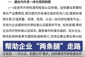 帮助企业“两条腿”走路，湖南出台19项举措加快内外贸一体化发展图片