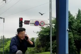 成都街头现“愤怒的小鸟”袭击路人头部 市民调侃：它在提醒骑车戴头盔图片