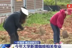 “咖啡科学与工程”冲上热搜！这专业，香！图片