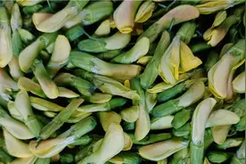 “花样昆明”如何让鲜花美食城市IP“一路繁花”图片