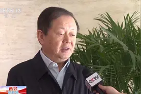 2025年企业出海如何破局？代表们这么说→图片