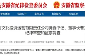 安徽省国资旗下厅级“一把手”任上被查 曾任古井集团董事长图片