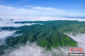 航拍贵州黔西顺石林场 层峦叠翠云雾缭绕图片