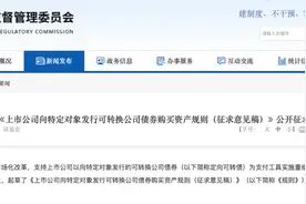 最新发布！事关定向可转债图片
