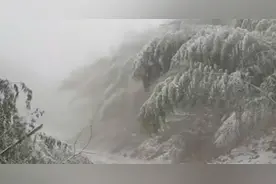 宿松北部山区罗汉尖等地迎来2025年第一场雪图片