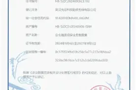 湖北省金融领域首单！光谷金控集团完成首笔数据资产入表图片