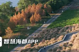 秋日生春意！榕城“拾秋”，三分春意！图片