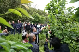 全国首批！松江这所学校上榜！图片
